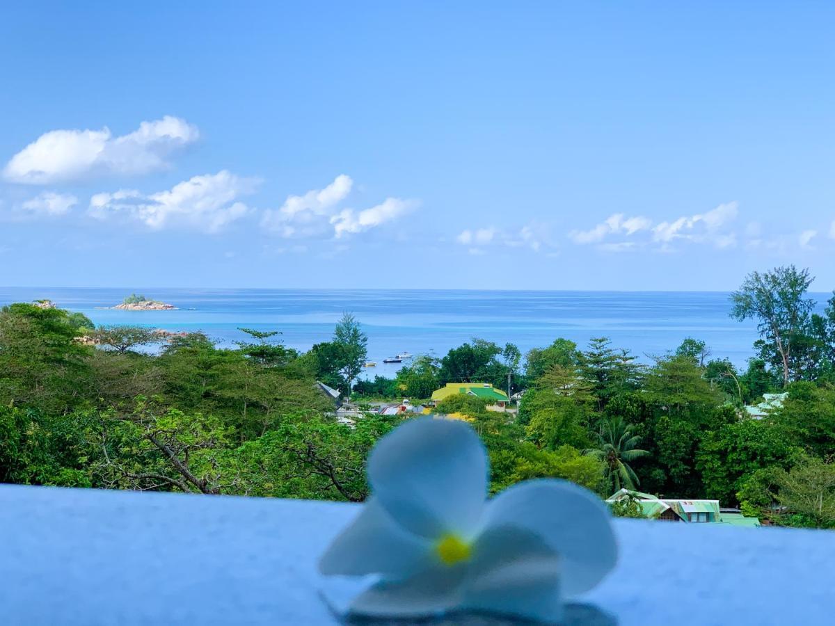 Exotic Guest House Anse Volbert Village Exterior foto